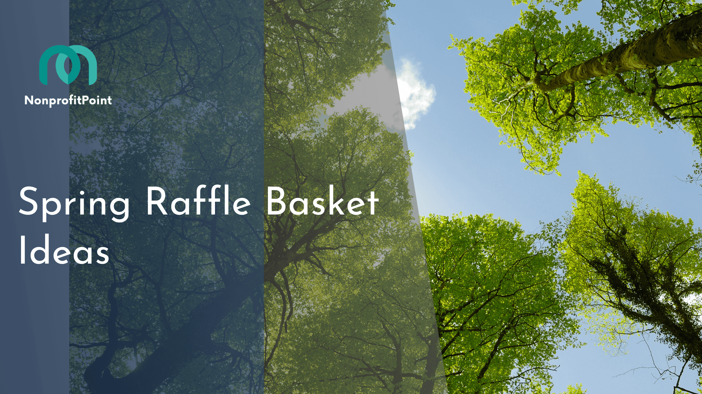 15 Spring Raffle Basket Ideas Curate Joyful Surprises for the Season