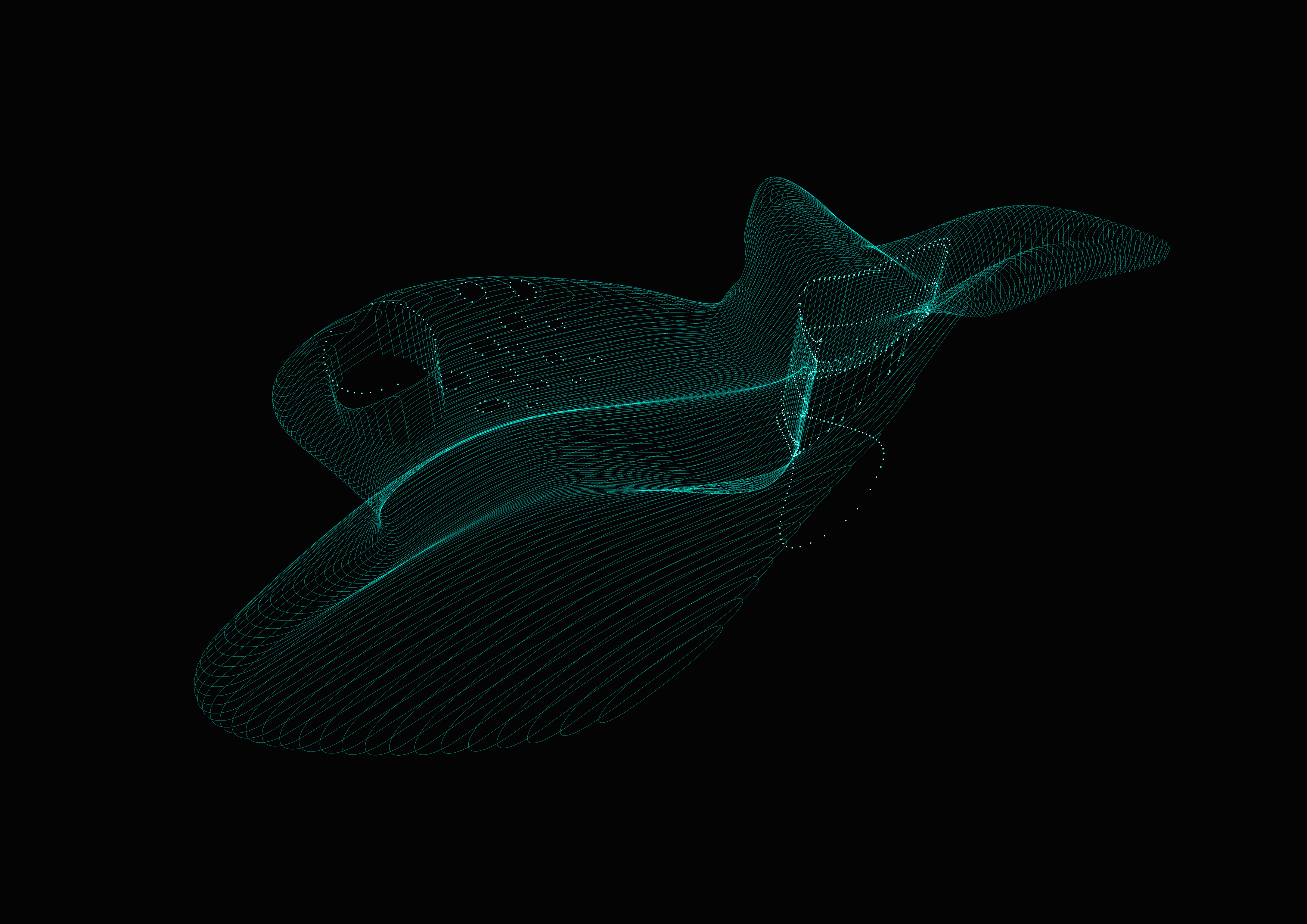 w51 – nonstandardstudio