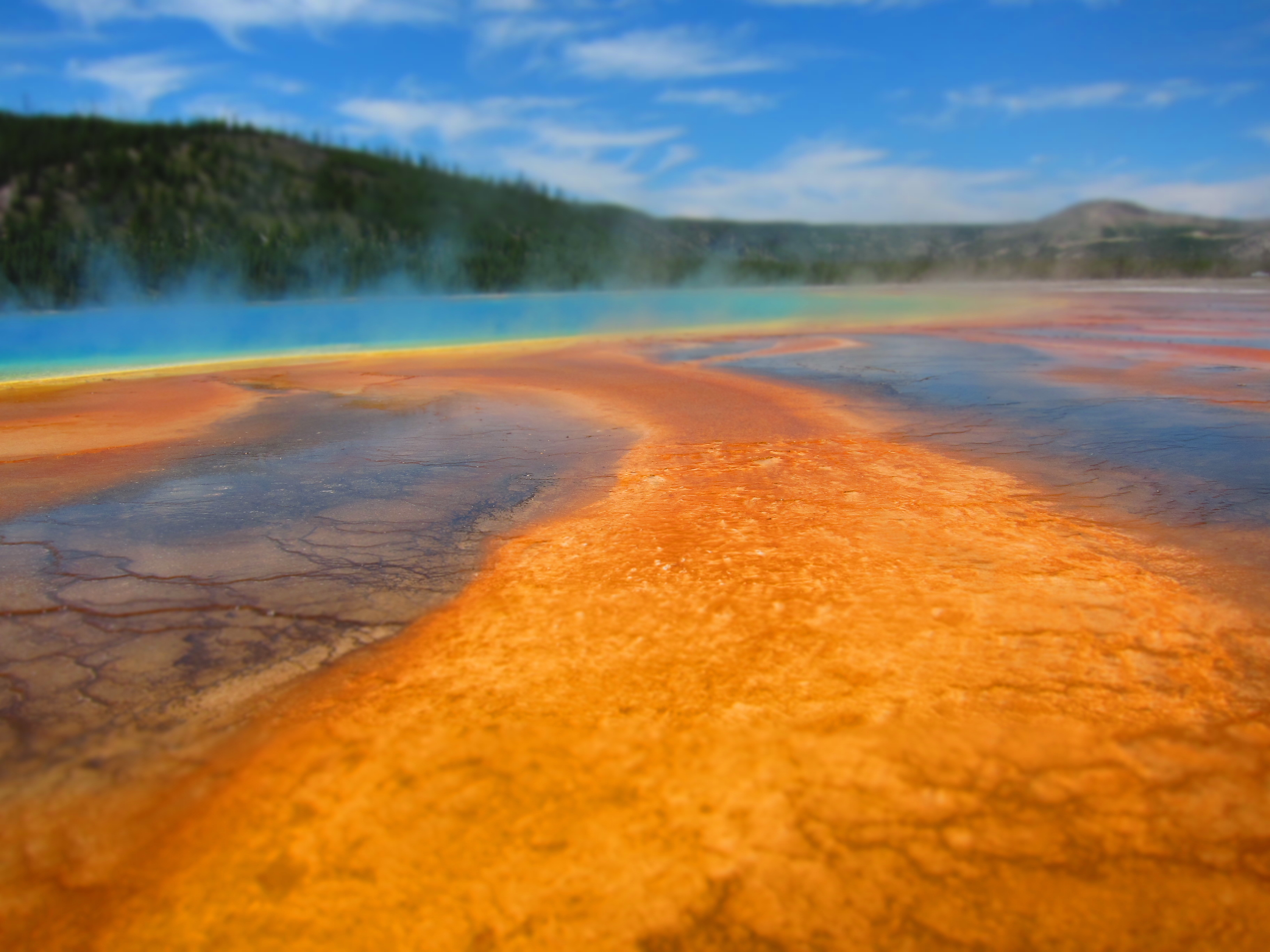 Geysers And Other Thermal Activity In Yellowstone Nonstop from JFK