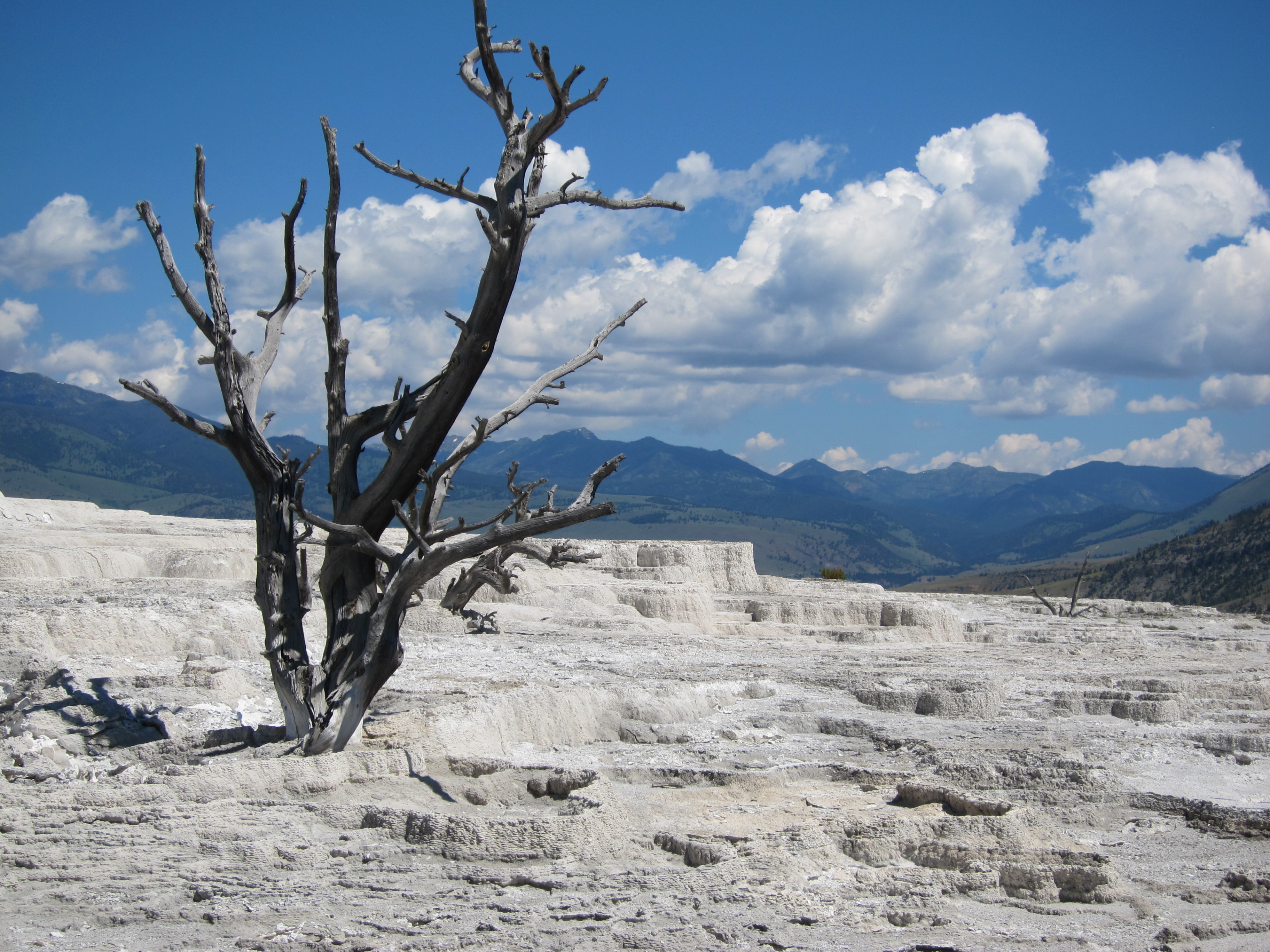 Mammoth Hot Springs at Yellowstone National Park Nonstop from JFK