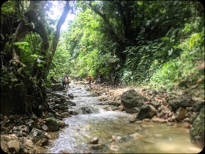 Nonsuch Falls Jamaica's Tallest Falls