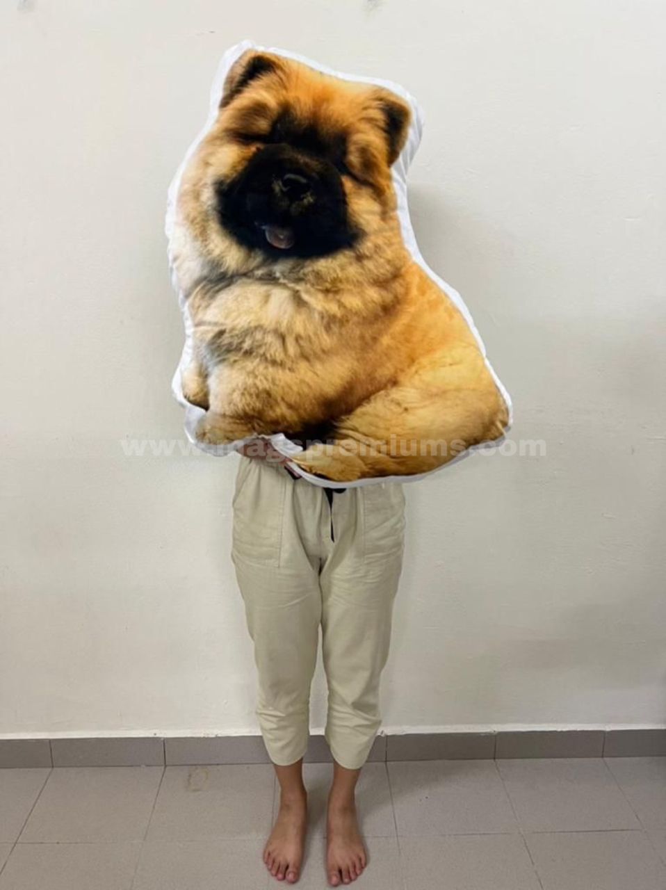 Customized Pillows Malaysia Printed Custom Pillow Personalised Pillow