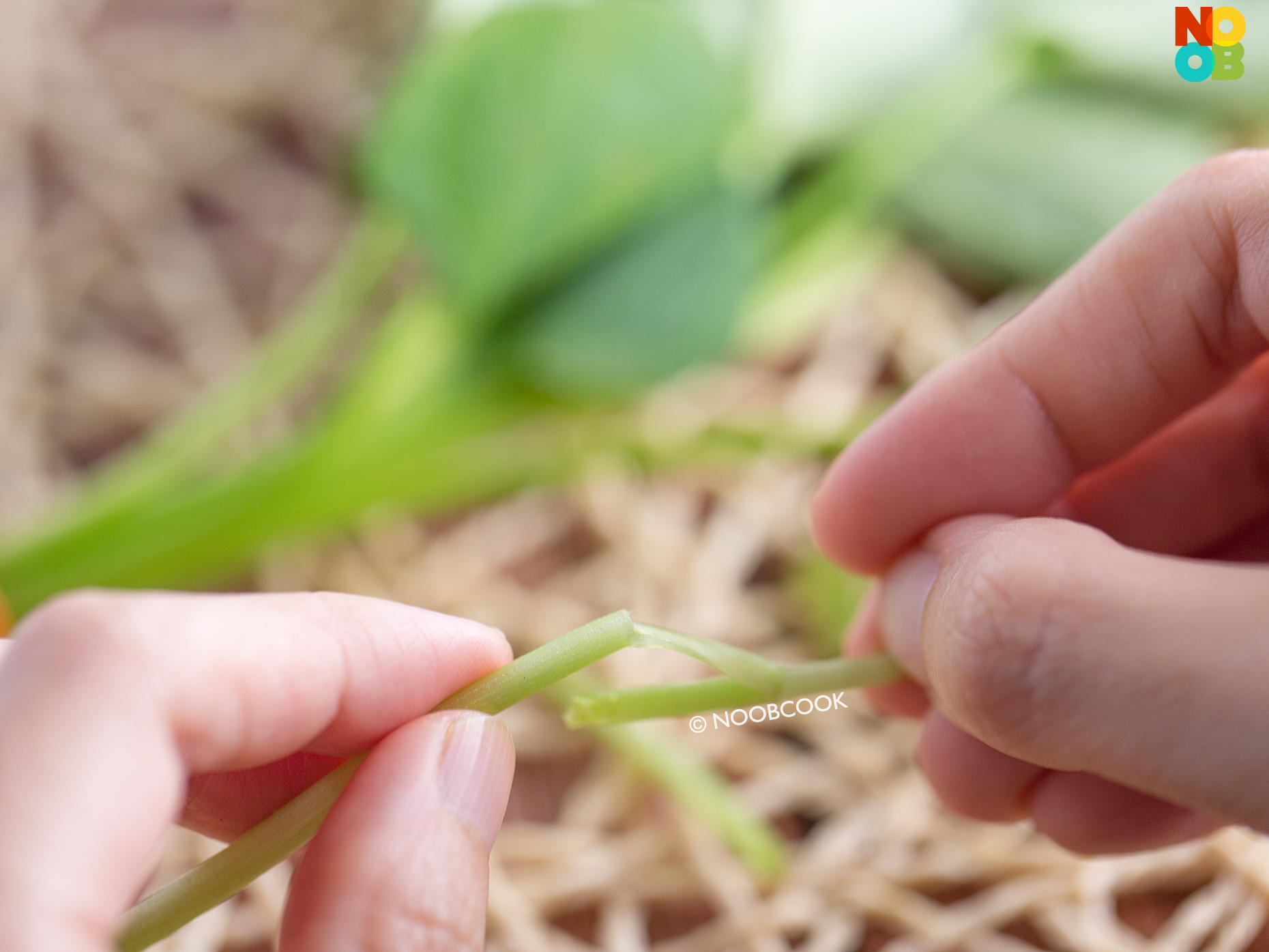 Sambal Sweet Potato Leaf Recipe Noob Cook Recipes