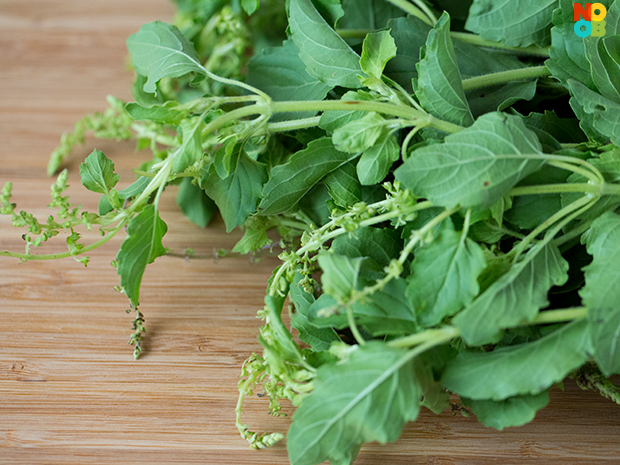 Thai Holy Basil Recipe | Noobcook.com