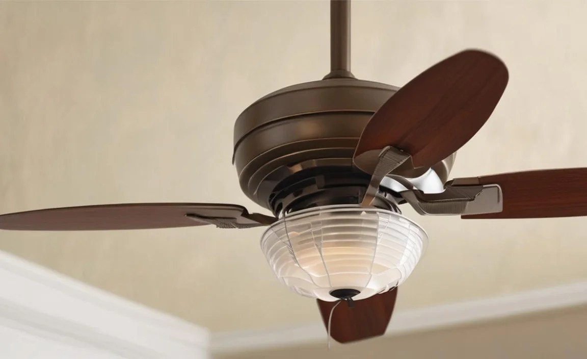 DIY Solutions For Ceiling Fan Safety