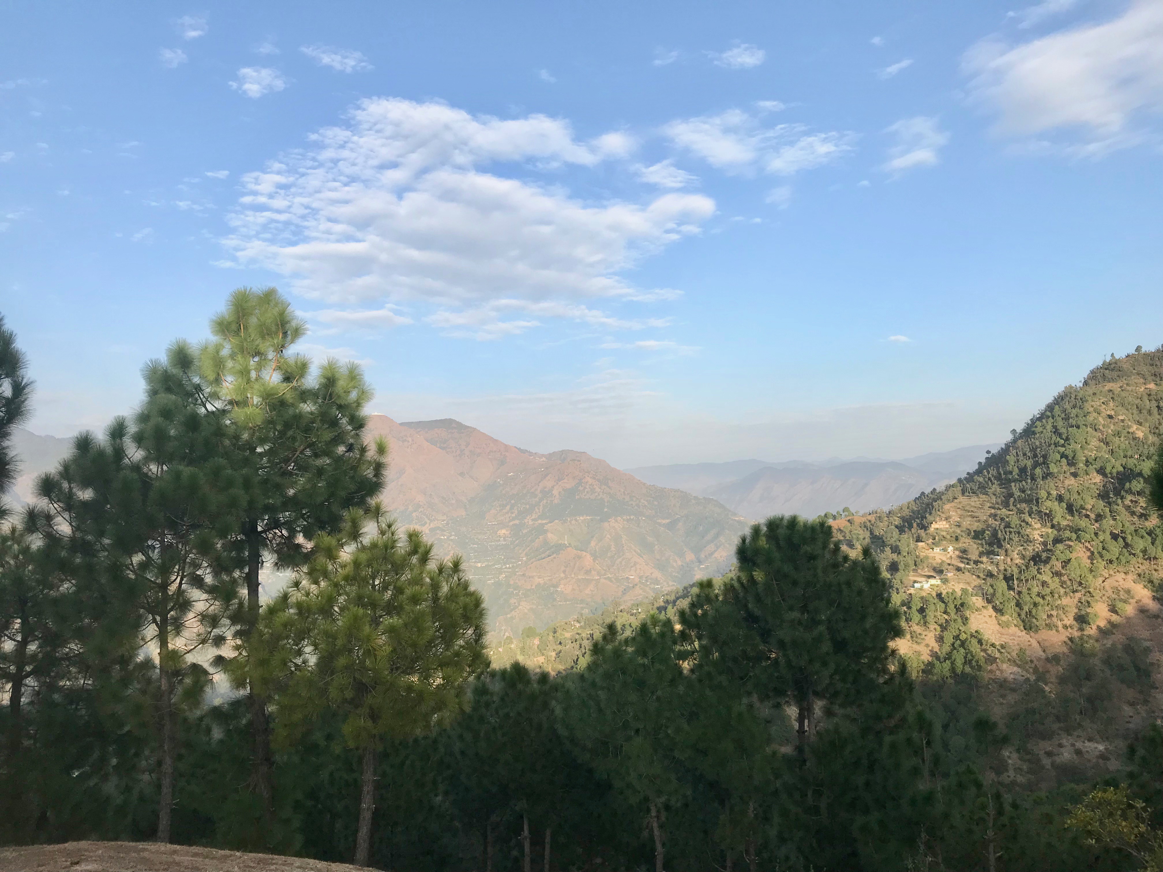 Top 15 Things to Do in Solan Himachal Pradesh - NOOR ANAND CHAWLA