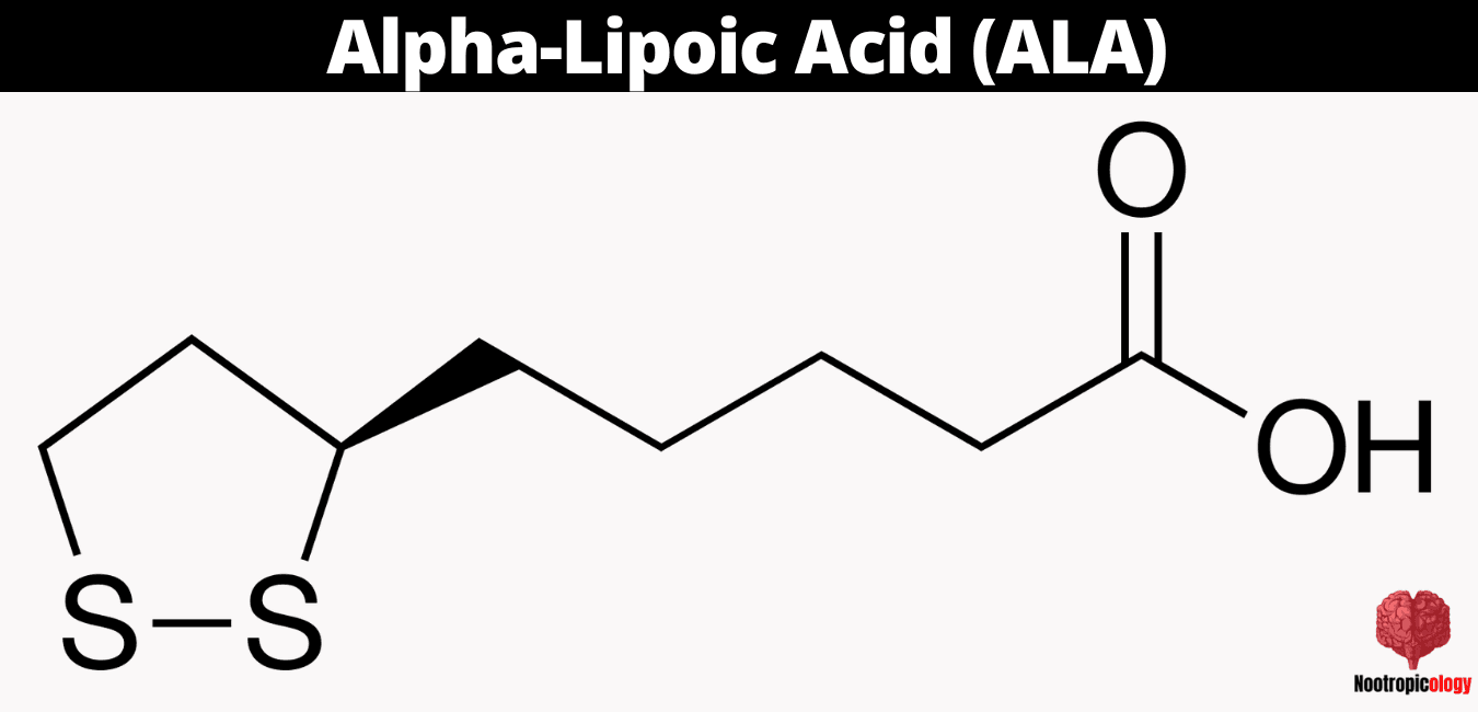 AlphaLipoic Acid Nootropic Review Benefits, Use, Dosage & Side Effects