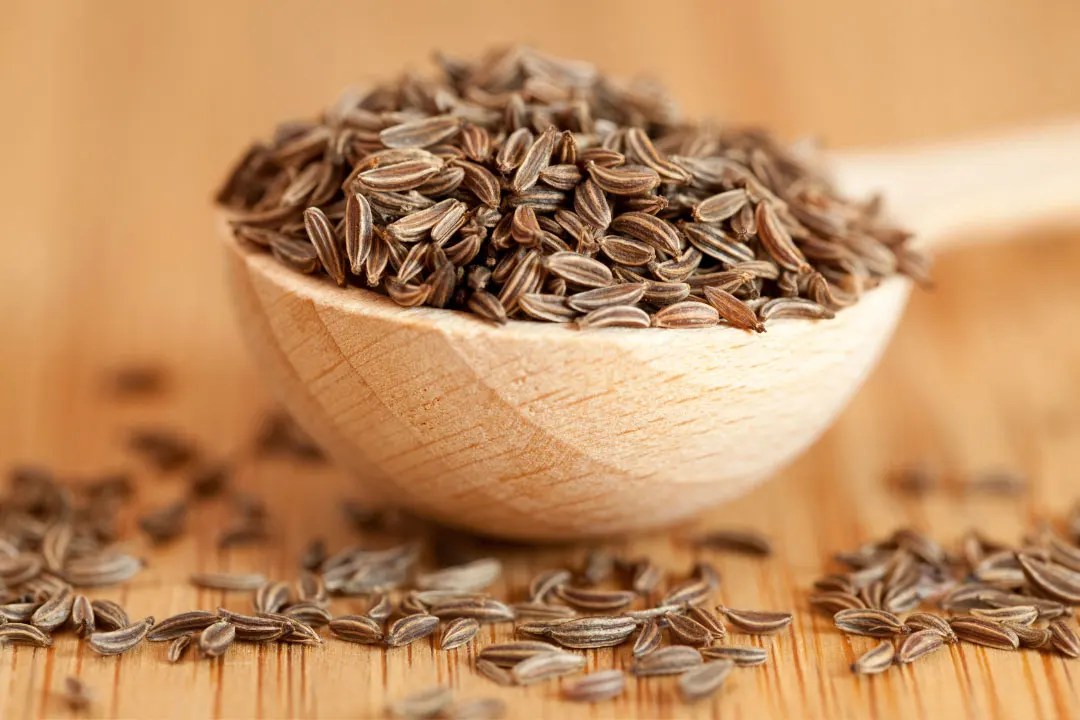 Cumin Benefits, Dosage, Side Effects, Drug Interactions, and Other Important Information