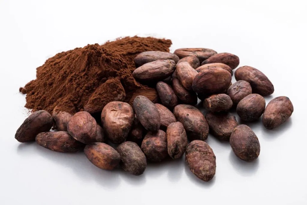 Carob Benefits, Dosage, Side Effects, Drug Interactions, and Other