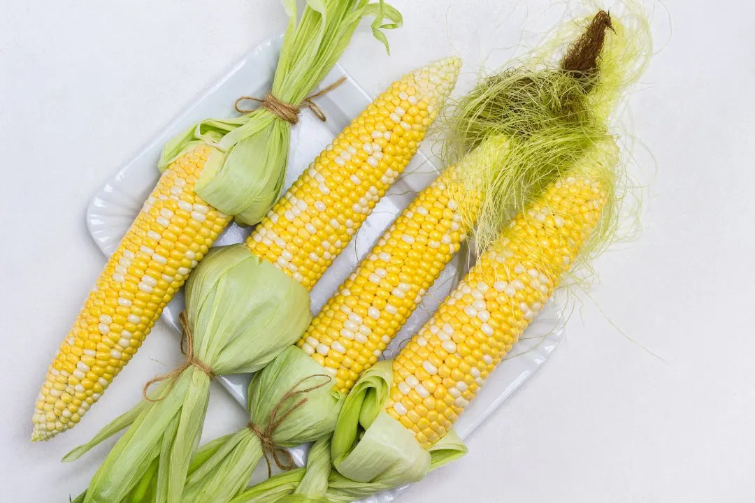 Corn Silk Benefits, Dosage, Side Effects, Drug Interactions, and Other