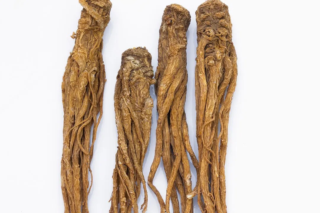 Dong Quai Benefits, Dosage, Side Effects, Drug Interactions, and Other