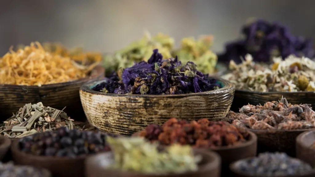 Wood Sage Benefits, Dosage, Side Effects, Drug Interactions, And Other Important Information