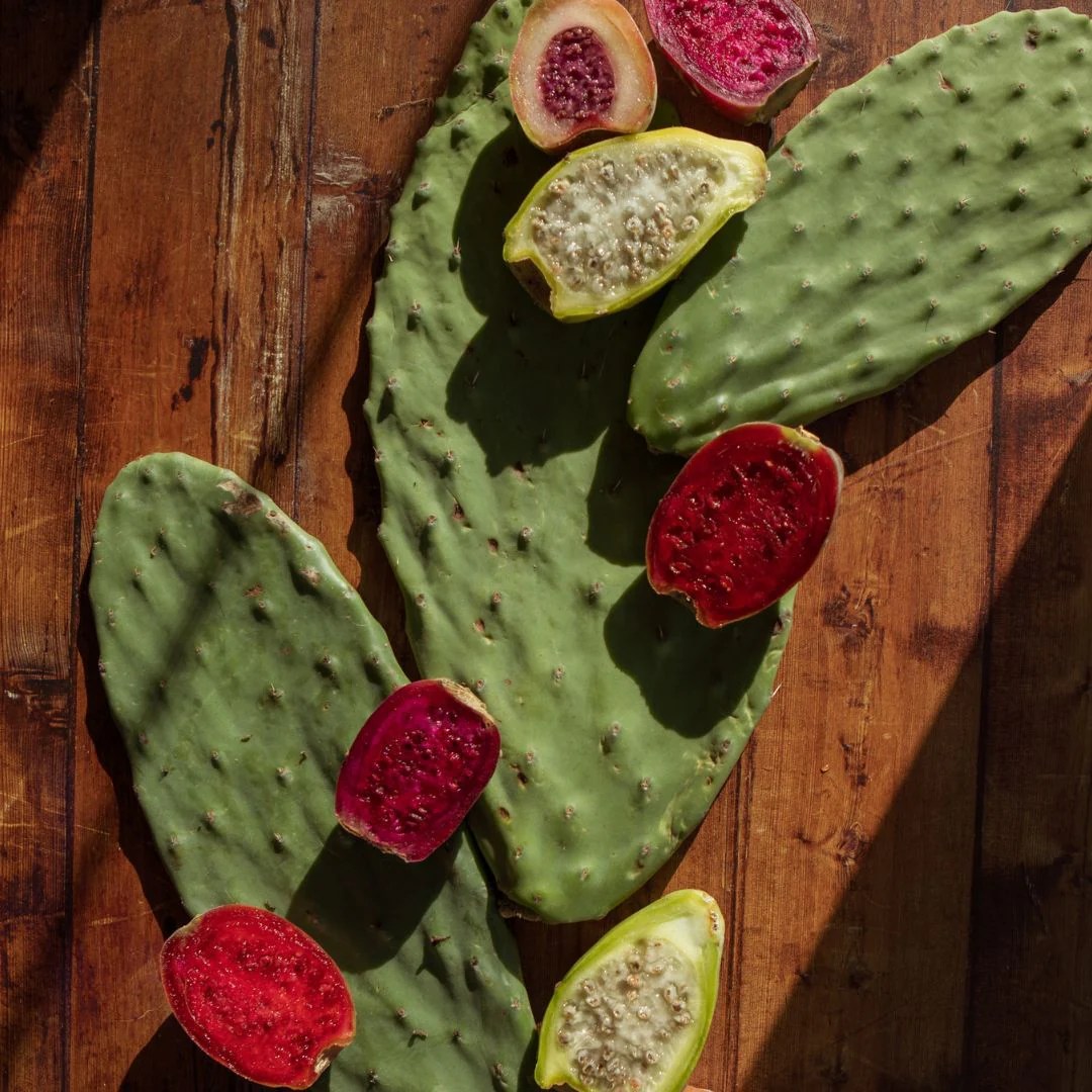 Nopal Cactus Vs. Aloe Vera — Everything You Need to Know Nopalera