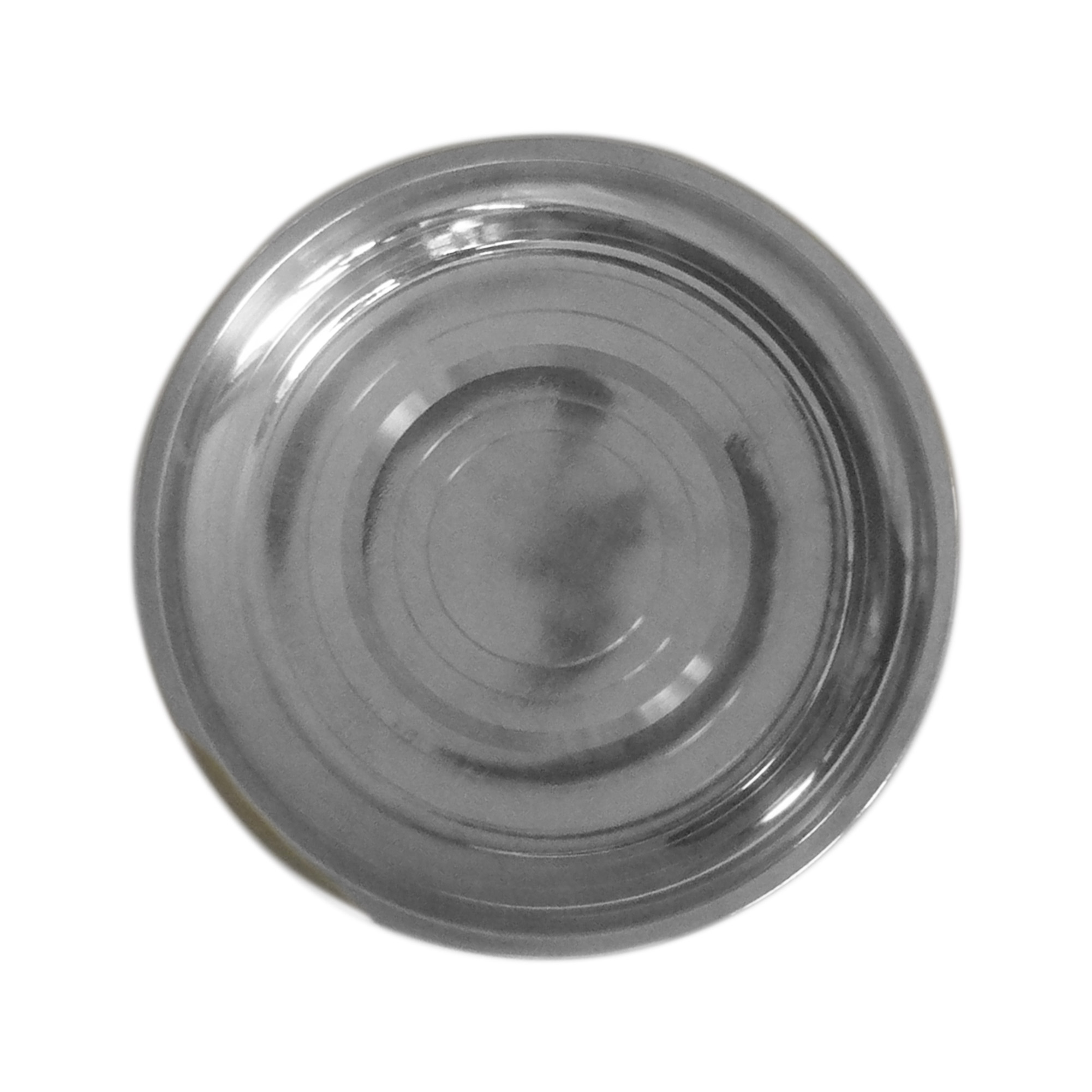 Stainless Steel Dinner Plate Noplastic.caNoplastic.ca