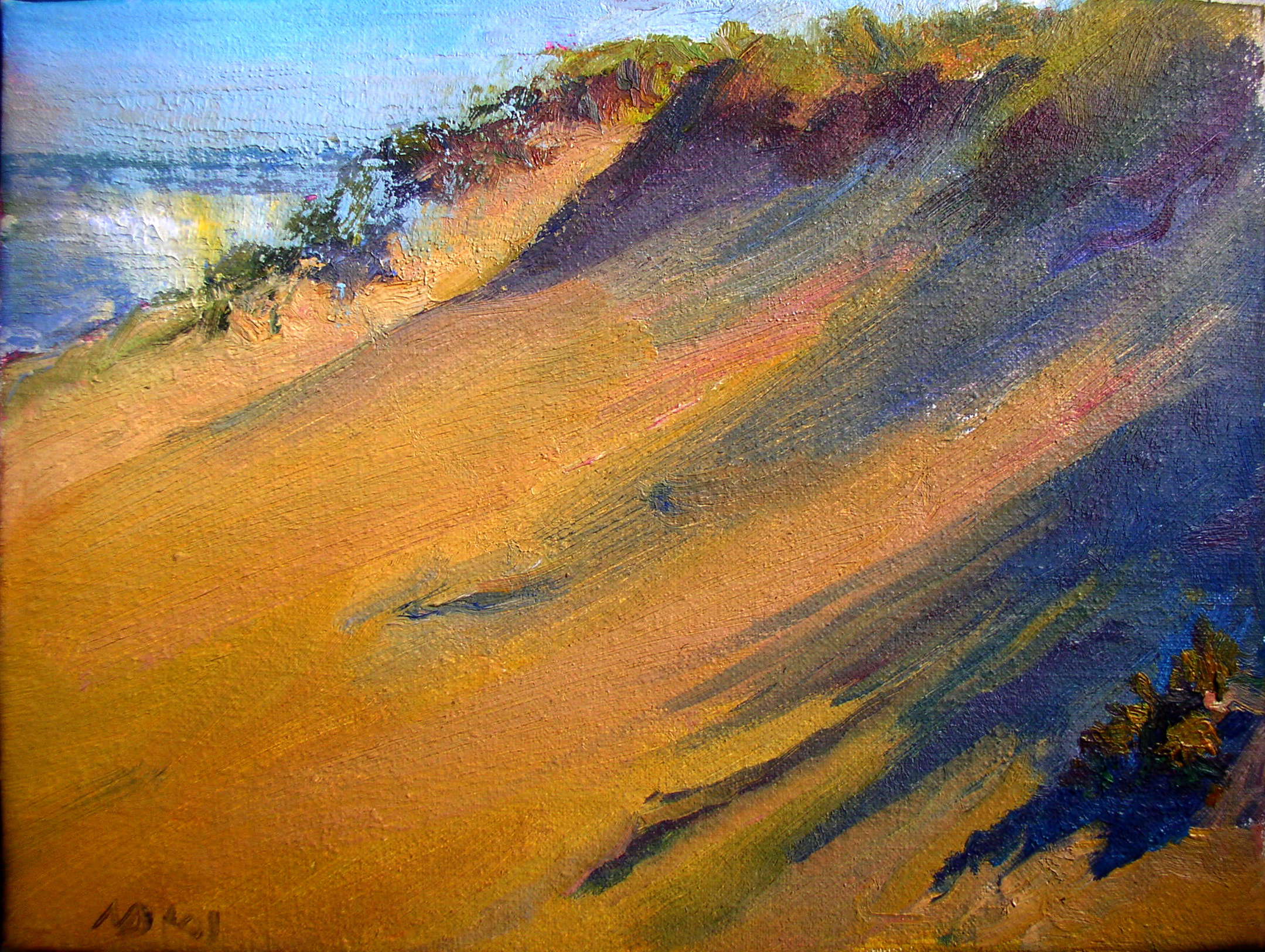 Landscapes Nora Daniel