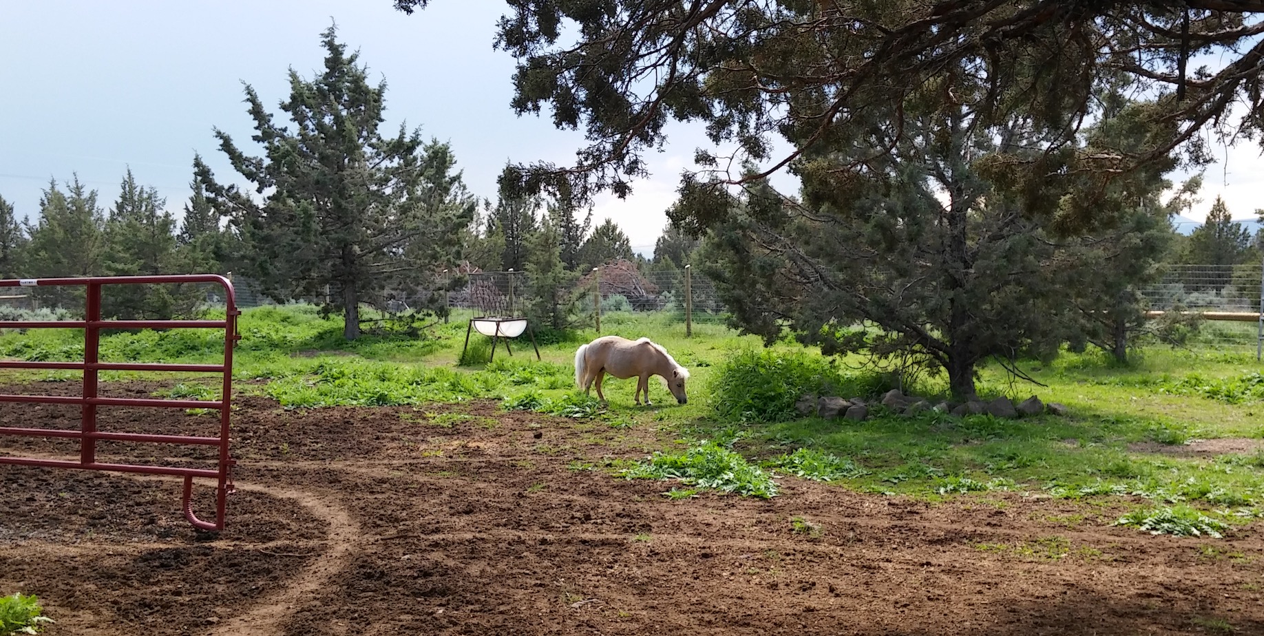 Crooked River Ranch Nora Loves Bend Homes