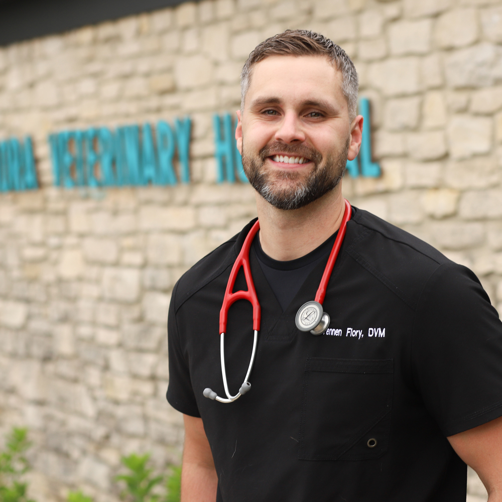 Veterinarian Indianapolis, IN Nora Veterinary Hospital Indianapolis