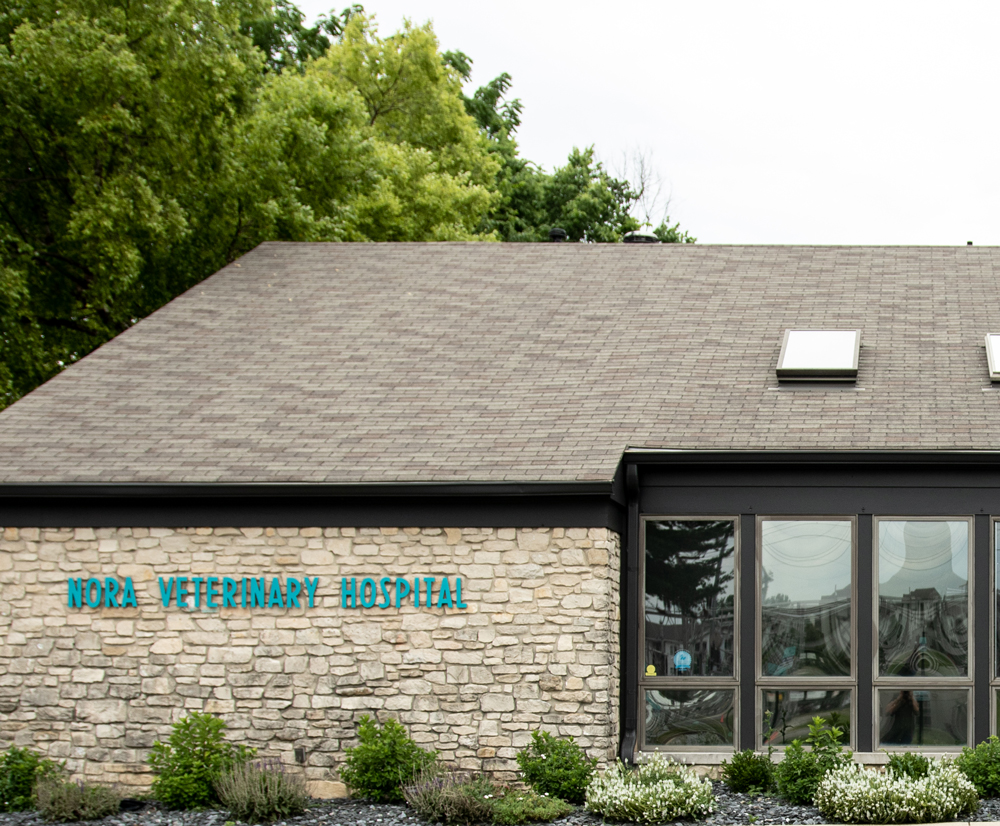 About Nora Veterinary Hospital We keep Pets Healthy