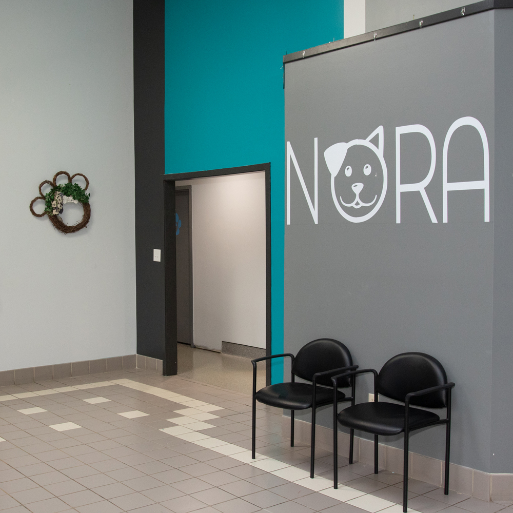 Nora Veterinary Hospital In Case of Emergency Contact Us