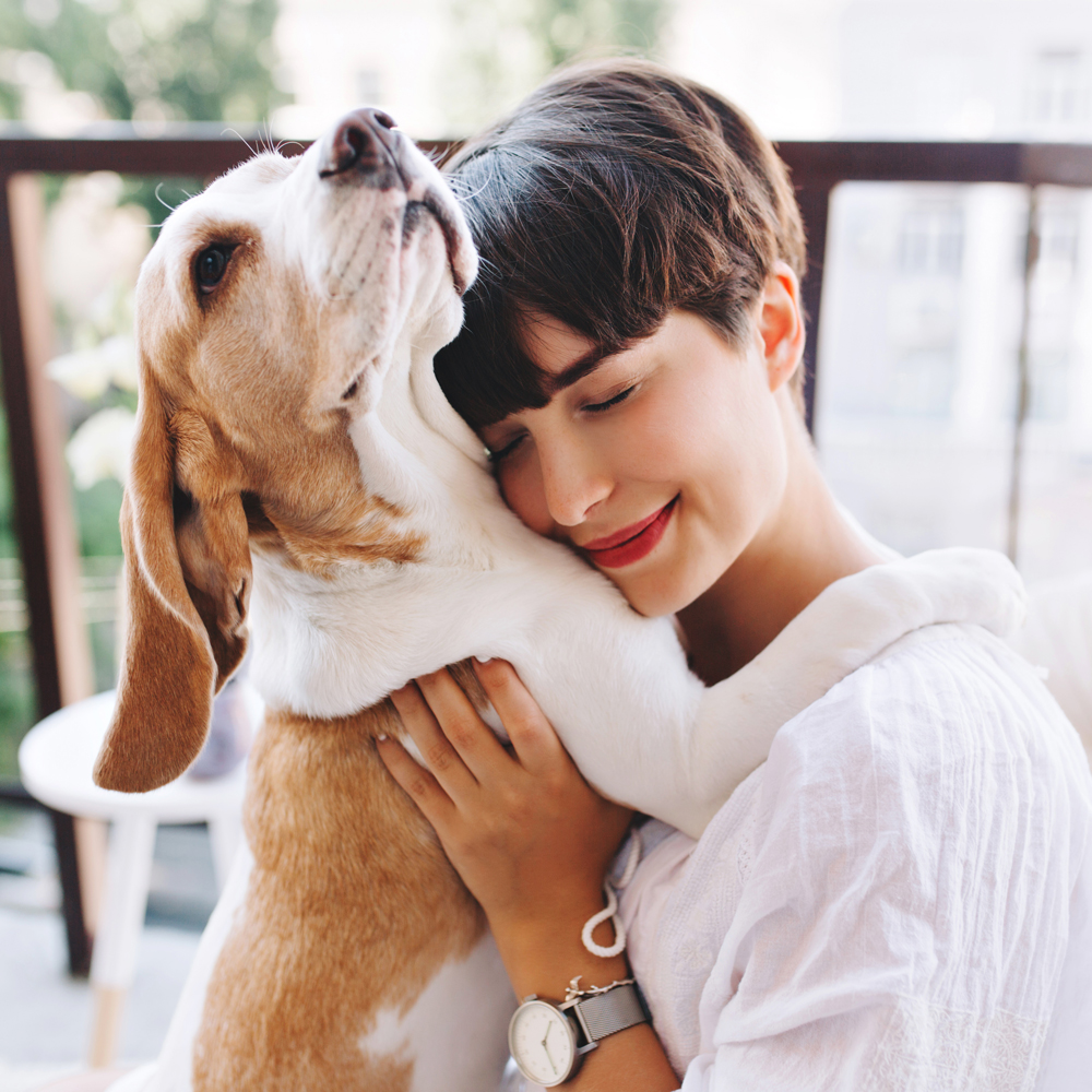 About Nora Veterinary Hospital We keep Pets Healthy