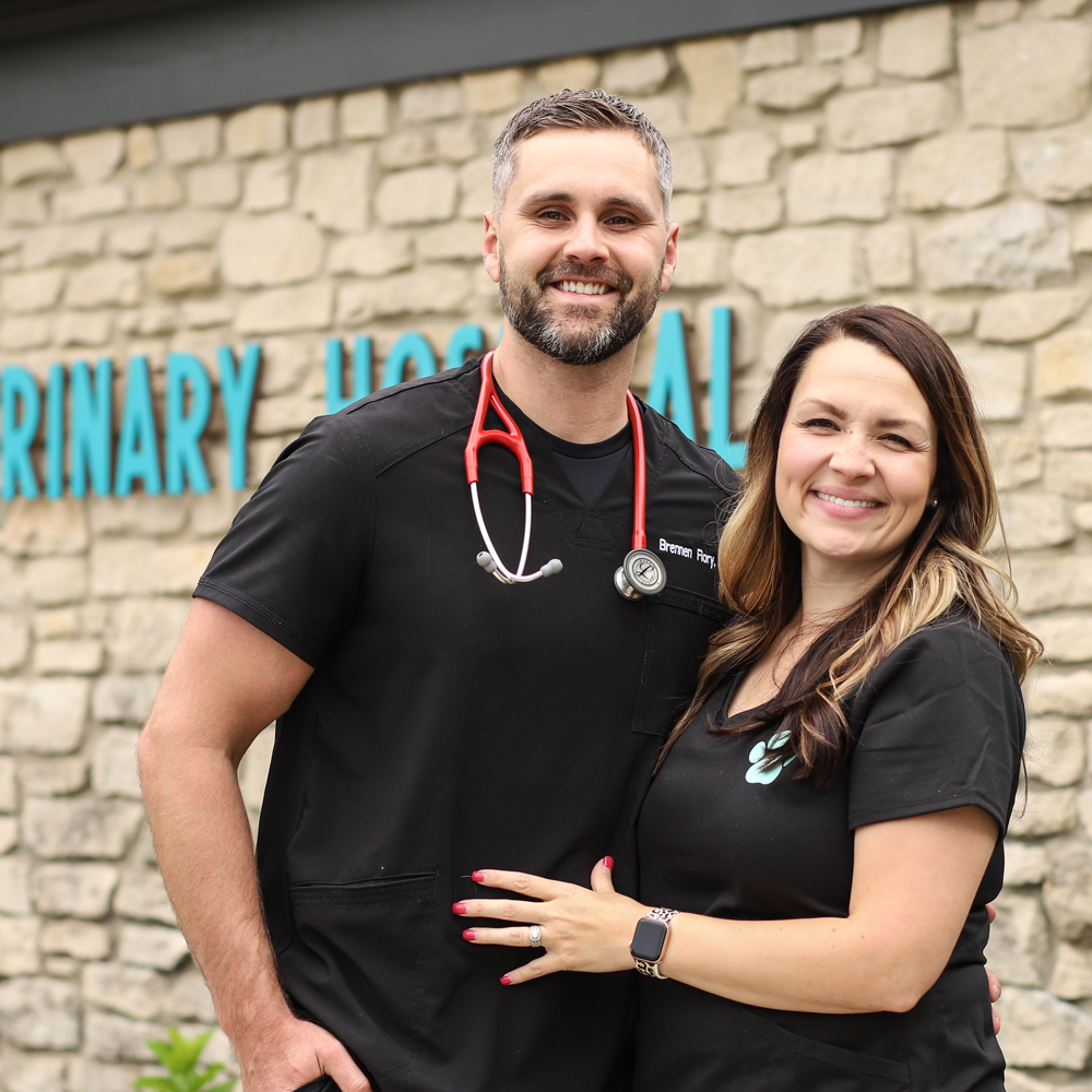 About Nora Veterinary Hospital We keep Pets Healthy