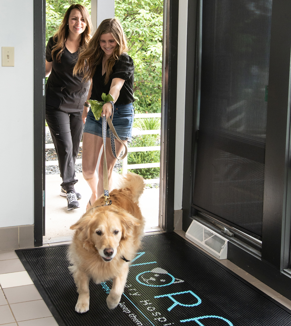 Veterinarian Indianapolis, IN Nora Veterinary Hospital Indianapolis