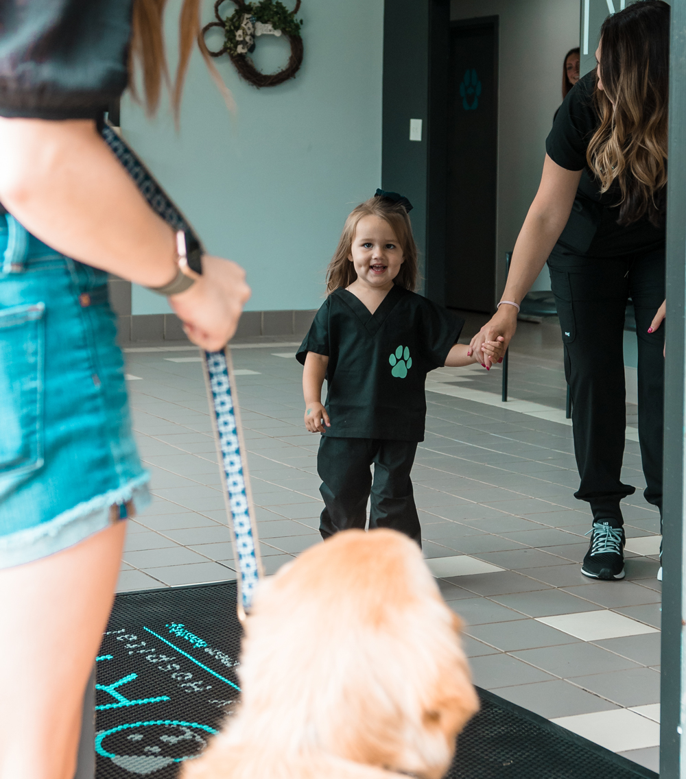 About Nora Veterinary Hospital We keep Pets Healthy