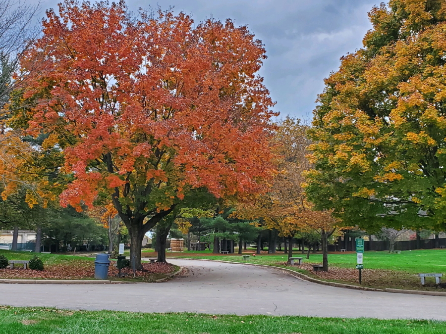 Norbeck Memorial Park provides burial options for all faiths in a