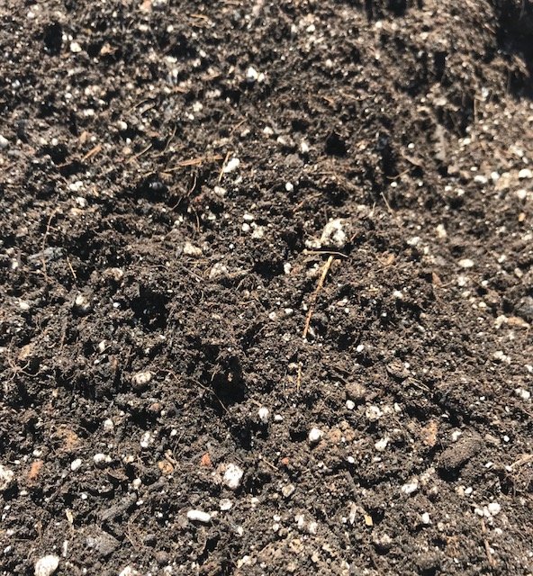 Best Organic Soil for Cannabis, Vegetables, and Fruits Norcal Soil