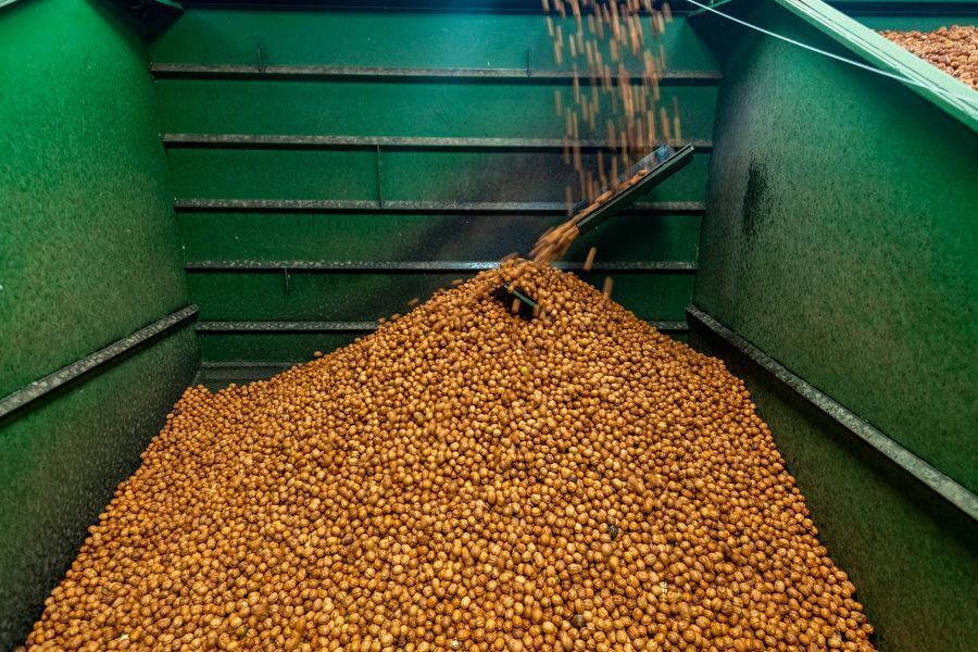 There Has Never Been a More Important Time to Protect American Food