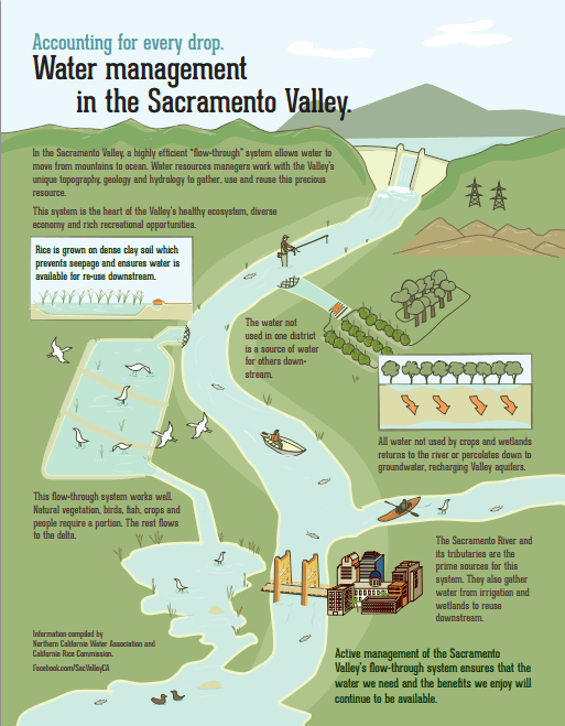 Water Management Tradeoffs Emerging with New Irrigation Systems