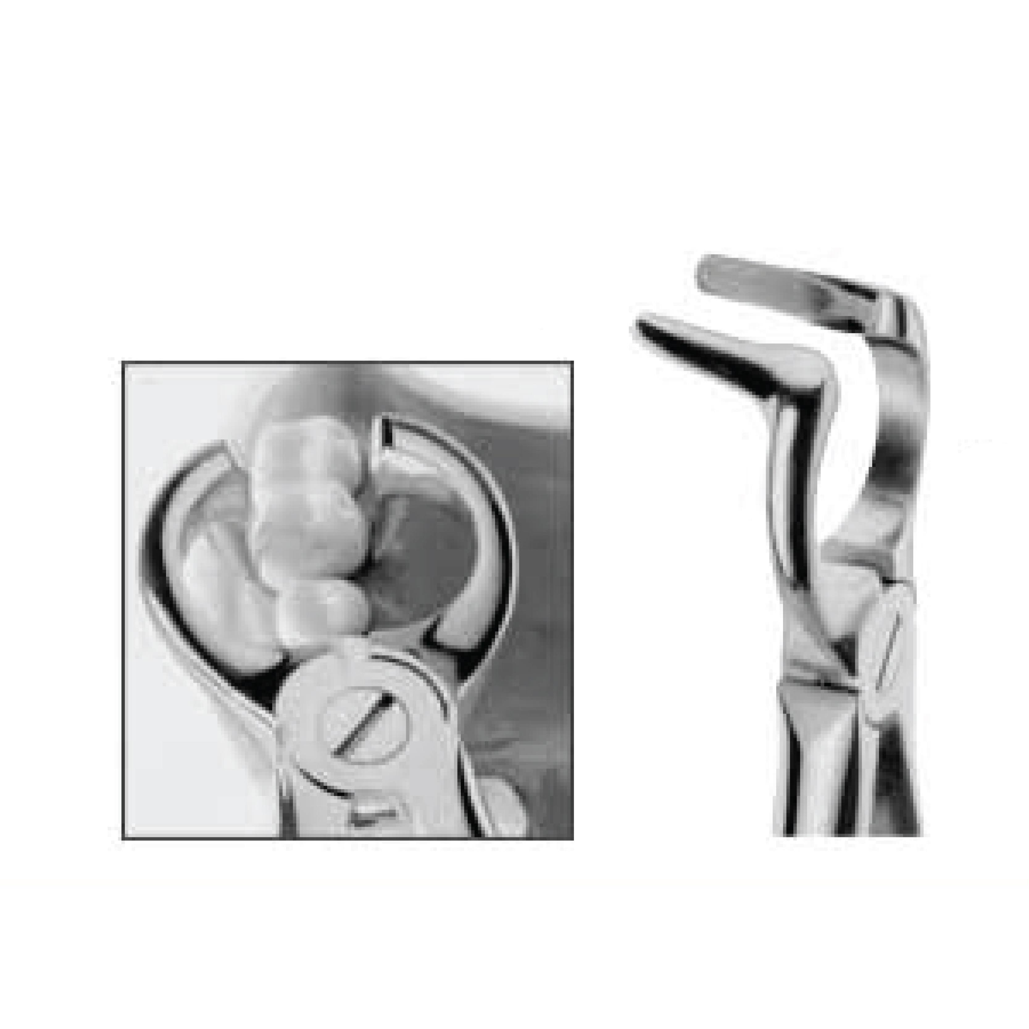 WRAP AROUND EXTRACTION FORCEP Norden Tools