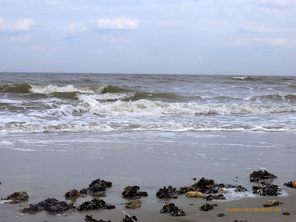 Norderneyer Online Norderney am Mittag 8. August 2017