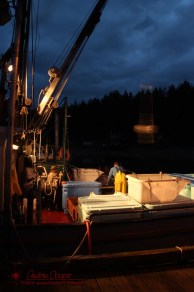 Loading Fish