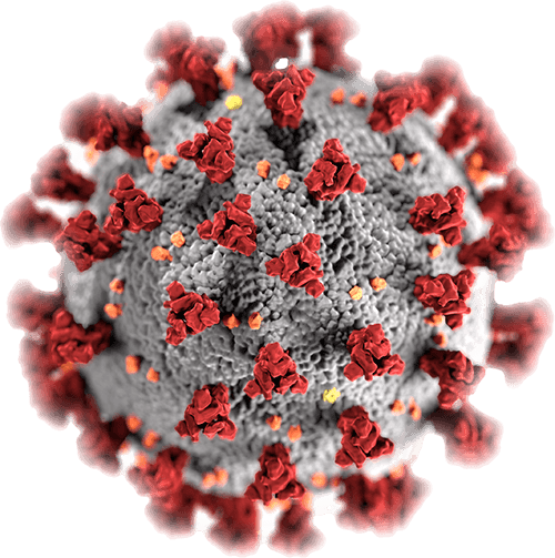 Home Norfolk Department of Economic Development