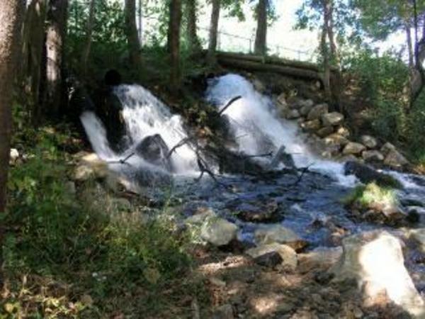 Dry Run Creek Friends of the Norfork National Fish Hatchery
