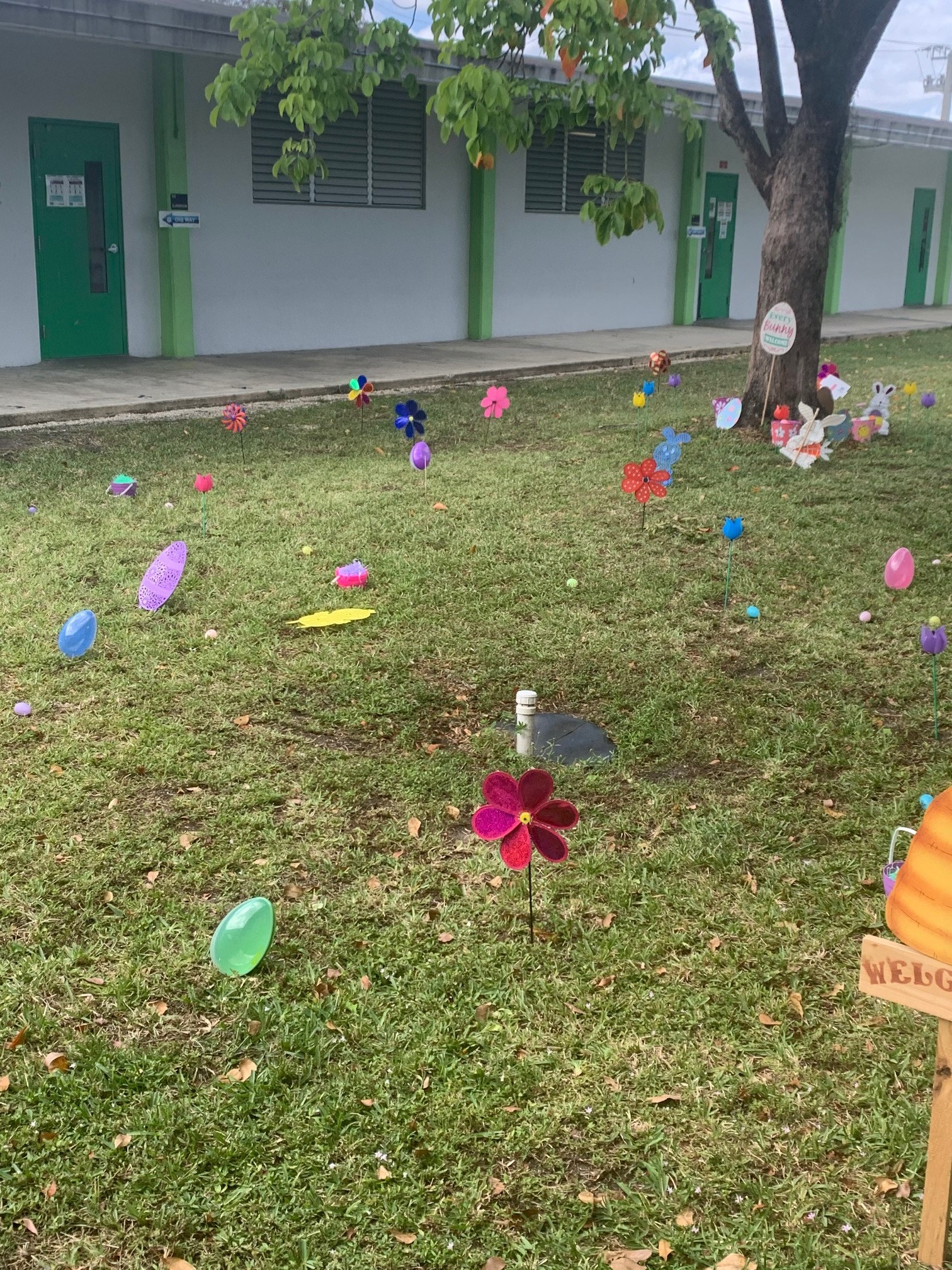 Flavor of Spring at Norland Elementary News and Announcements