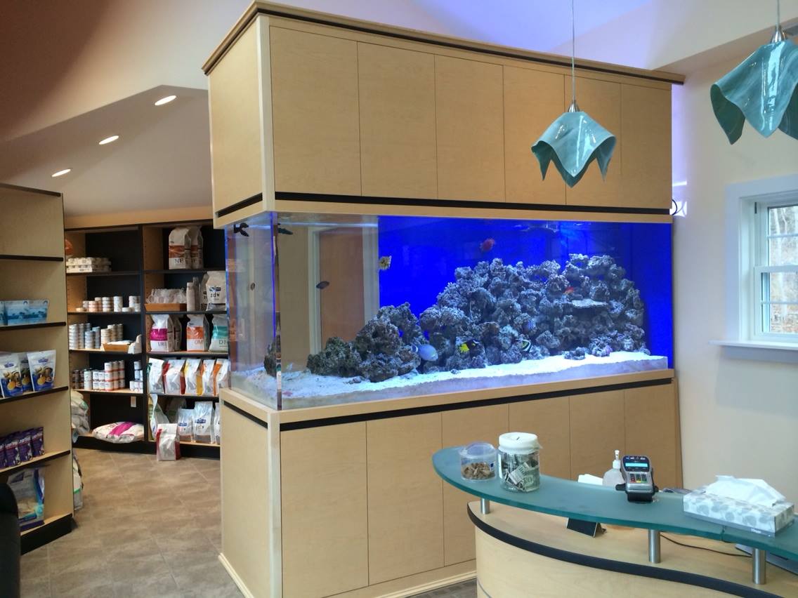 Commercial Gallery Normal Aquatics Custom Aquarium Installation