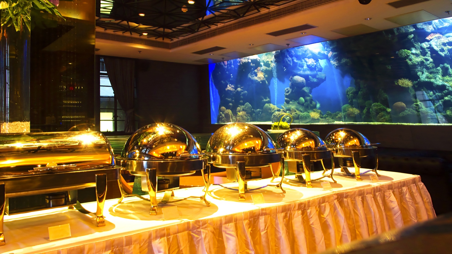 Commercial Gallery Normal Aquatics Custom Aquarium Installation