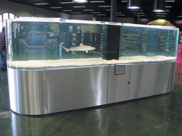 Commercial Gallery Normal Aquatics Custom Aquarium Installation, Maintenance & Repair, Pond