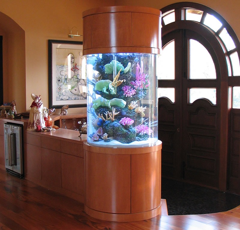 Residential Gallery Normal Aquatics Custom Aquariums & Ponds