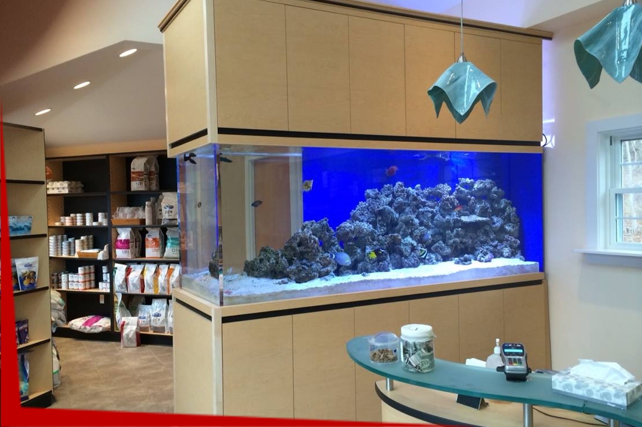 Normal Aquatics Custom Aquarium Installation, Maintenance & Repair