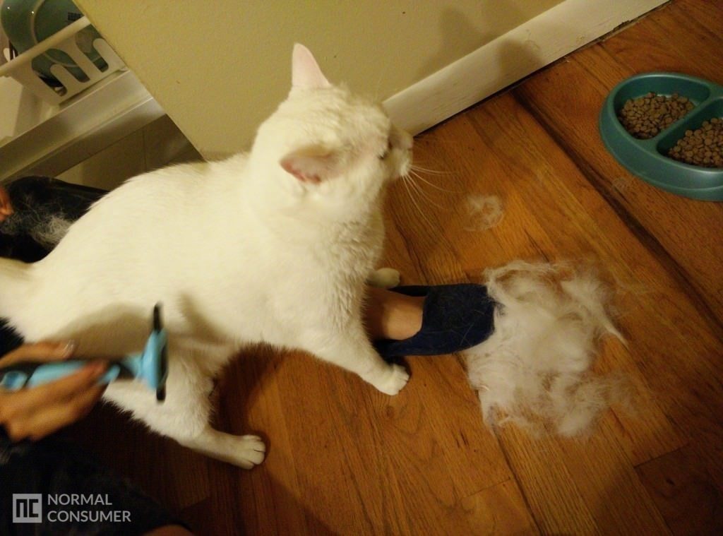 DakPets Deshedding Tool Review Normal Consumer