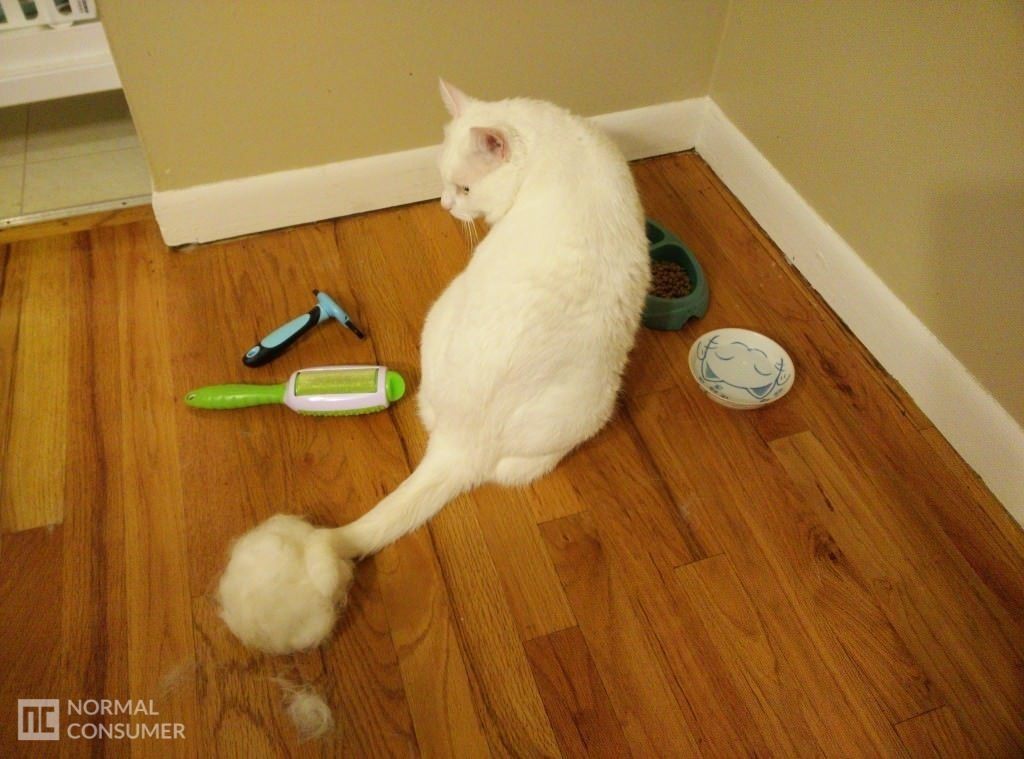 DakPets Deshedding Tool Review Normal Consumer