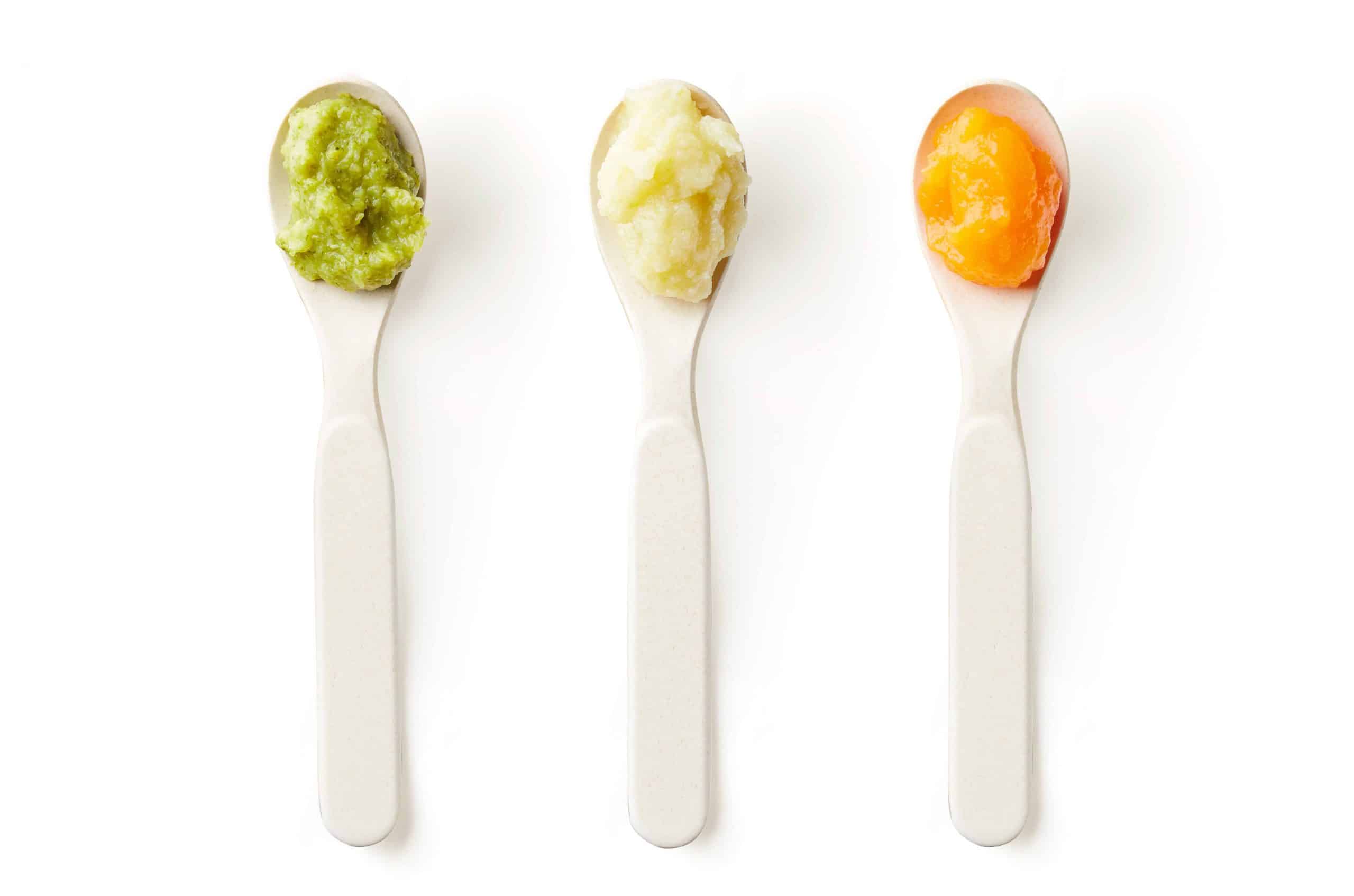 Can You Use The Magic Bullet To Puree Baby Food Deporecipe.co