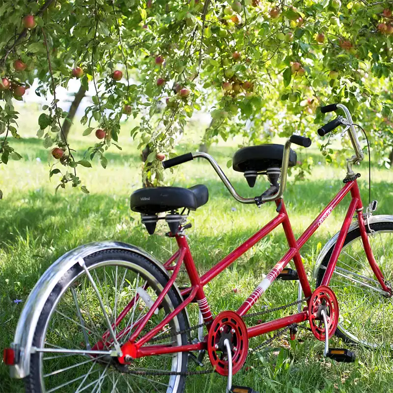 Balade en Tandem - La Normandy Factory