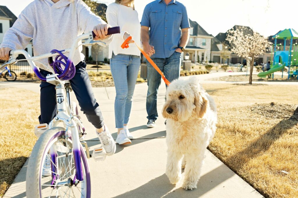 Estates at Stacy Crossing McKinney, TX Normandy Homes