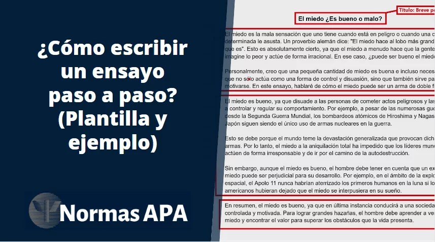 Cómo hacer un ensayo: Guía con ejemplos prácticos y 8 ideas