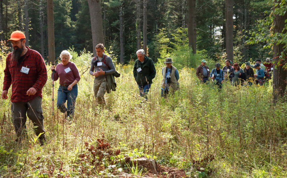 Woodland Stewardship Training Helps Them See the Forest and the Trees