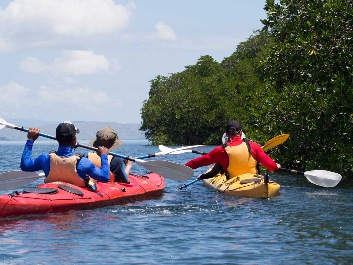 6 Day Komodo Kayak by No Roads Expeditions
